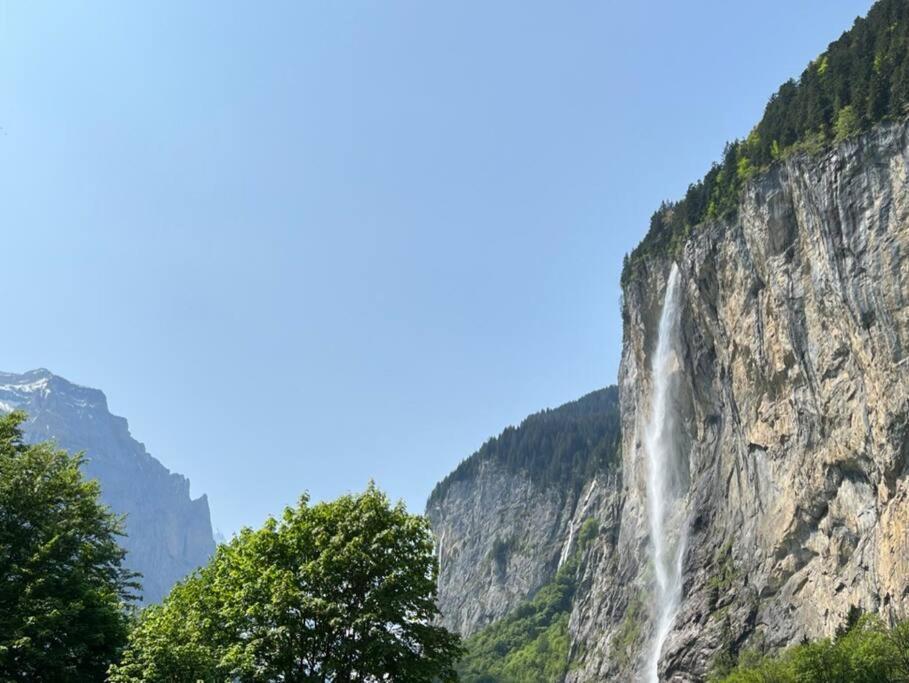 Chalet Maithili Lauterbrunnen -152-Year-Old Majestic Chalet מראה חיצוני תמונה