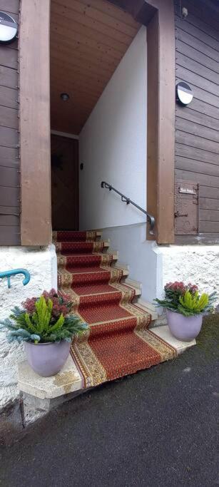 Chalet Maithili Lauterbrunnen -152-Year-Old Majestic Chalet מראה חיצוני תמונה